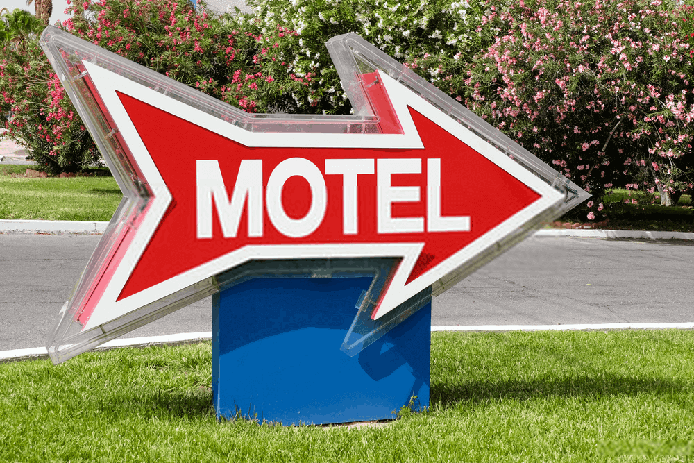 pet-friendly-hotel-in-las-vegas pet-friendly-hotel-in-las-vegas